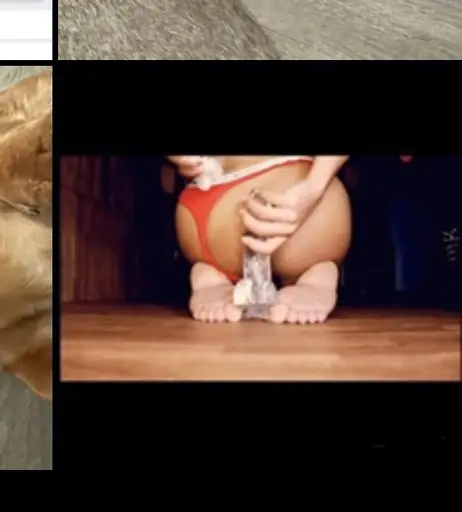Image 8239330 from ASMR Heaven