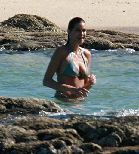 Image 8399877 from Teri Hatcher