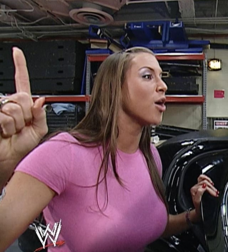 Image 8398743 from Stephanie McMahon
