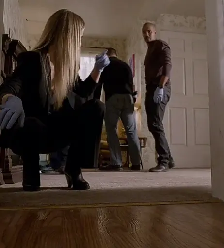 Image 8342128 from AJ Cook / Andrea Joy Cook