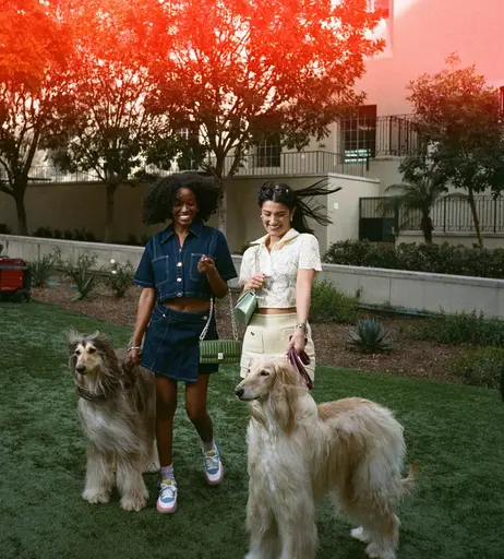 Image 8311720 from Charli D&#039;Amelio / Charli Damelio