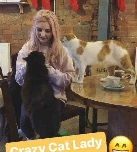 Image 8319308 from LDShadowLady