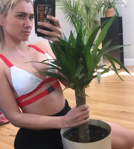 Image 8318756 from Jpann 1 / ThePlantFam