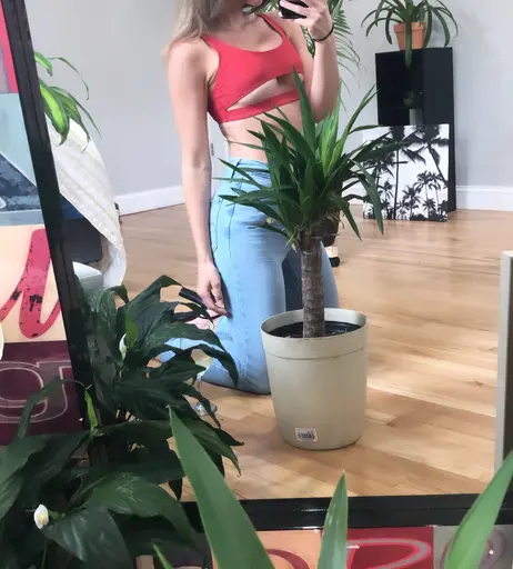 Image 8318769 from Jpann 1 / ThePlantFam
