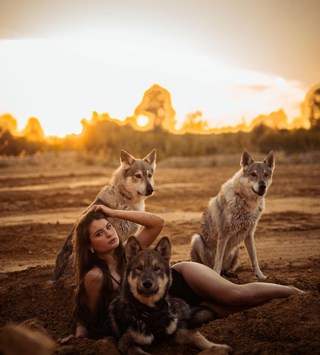 Image 888537 from Jana Wolf / jana_officialx