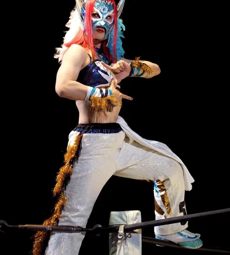 Image 8856764 from Women of Joshi Puroresu