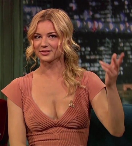 Image 8844034 from Emily VanCamp