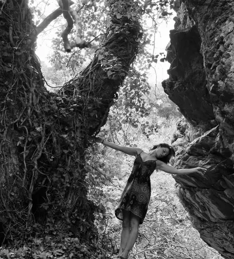 Image 8843573 from Luca Hollestelle