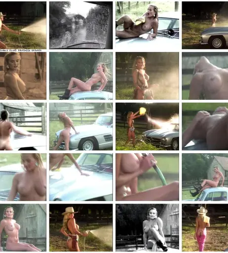 Image 8843767 from Brandy Ledford