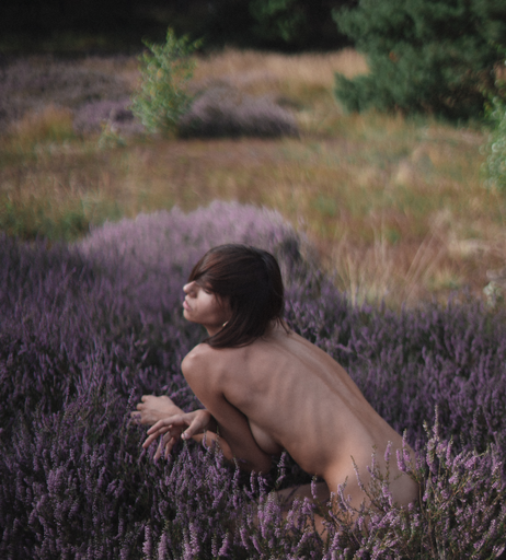 Image 8922288 from Irina Lozovaya