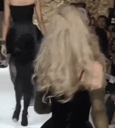 Image 8912173 from Claudia Schiffer
