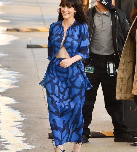 Image 8912343 from Rachel Brosnahan