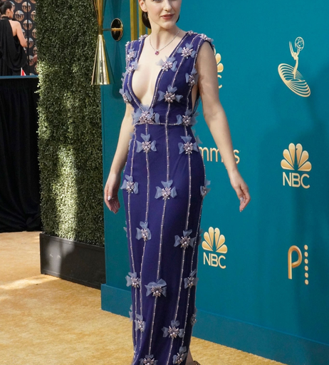 Image 8912375 from Rachel Brosnahan