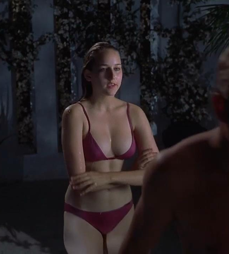 Image 8913789 from Leelee Sobieski