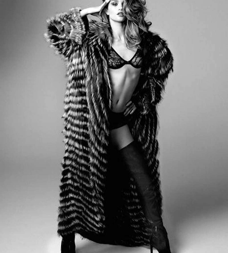 Image 8909762 from Rosie Huntington-Whiteley