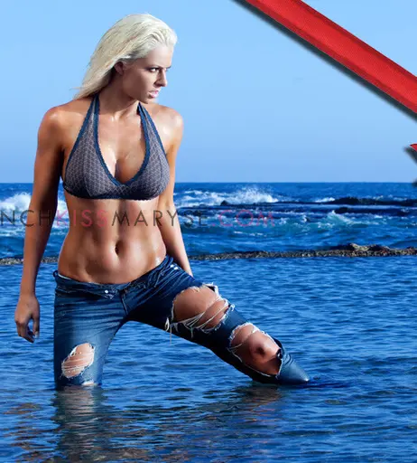 Image 8495112 from Maryse WWE