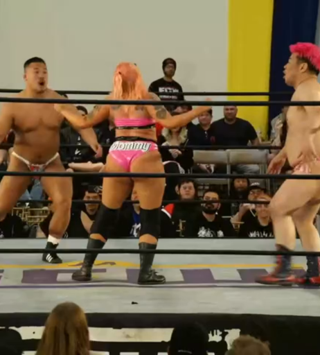 Image 8456182 from Women of Professional Wrestling