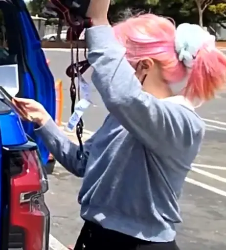 Image 8427657 from LilyPichu