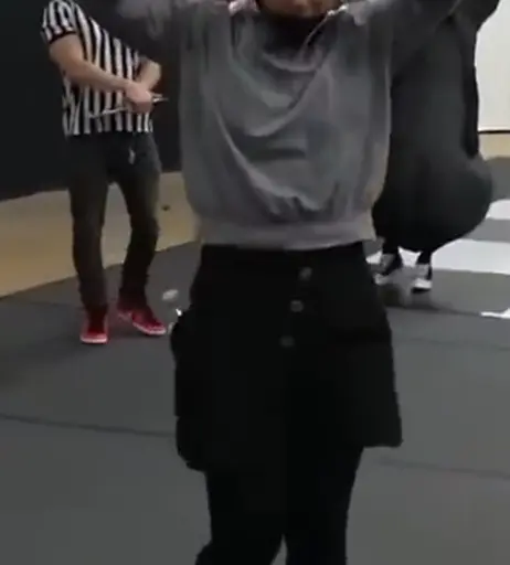 Image 8427667 from LilyPichu