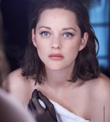 Image 8400588 from Marion Cotillard