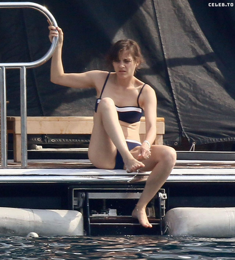 Image 8400580 from Marion Cotillard