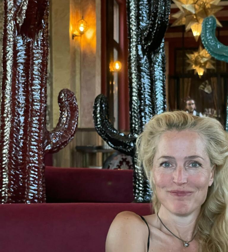 Image 8400379 from Gillian Anderson