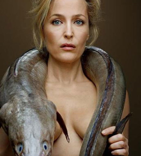 Image 8400377 from Gillian Anderson