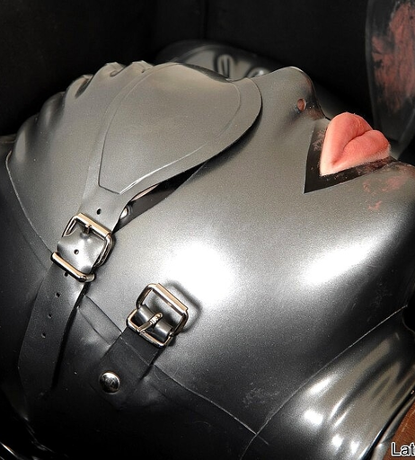 Image 8514256 from Latex Lucy