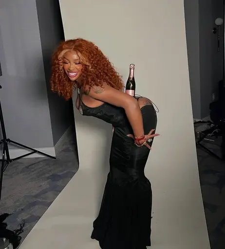 Image 8697131 from SZA | Solana Rowe