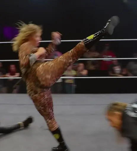 Image 8786881 from WWE Nikkita Lyons