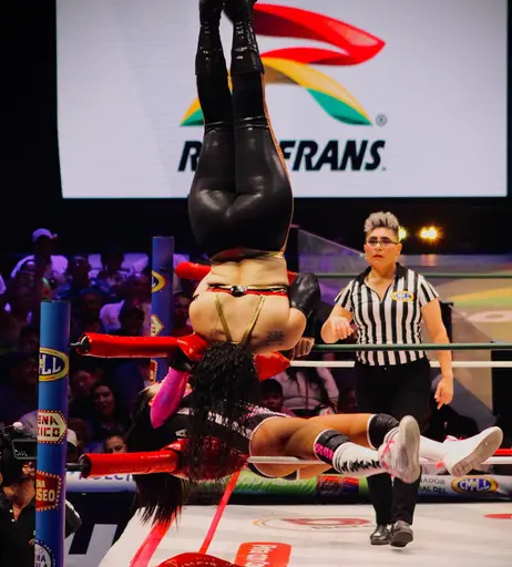 Image 8786589 from Women of Professional Wrestling