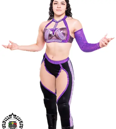 Image 8786582 from Women of Professional Wrestling