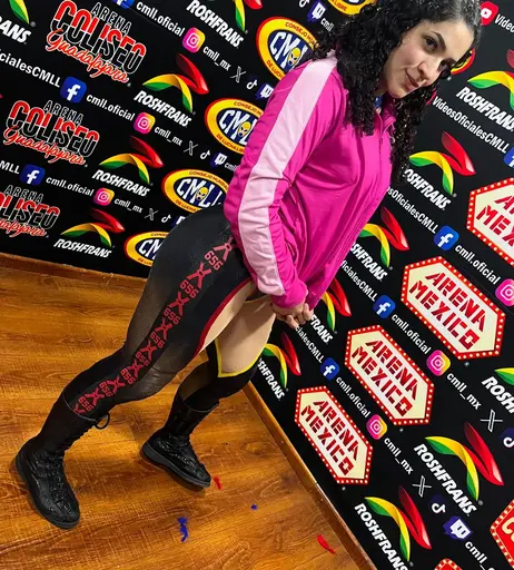Image 8786580 from Women of Professional Wrestling