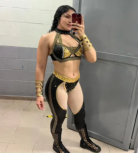 Image 8786571 from Women of Professional Wrestling