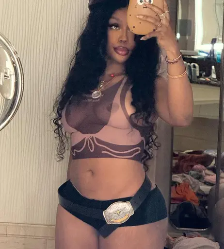 Image 8786700 from SZA | Solana Rowe