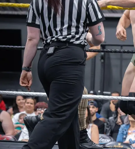 Image 8786619 from Women of Professional Wrestling