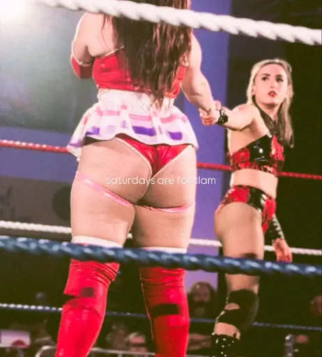 Image 8786991 from Women of Professional Wrestling
