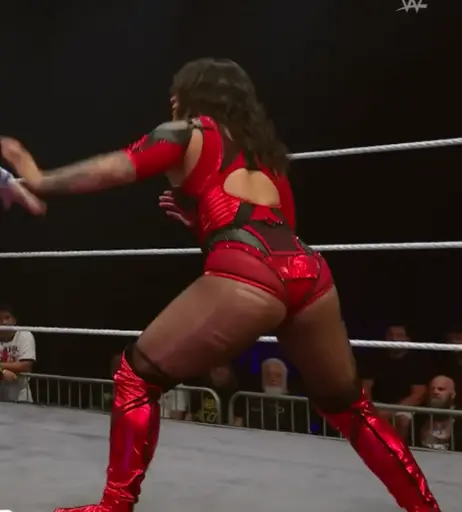Image 8786959 from Women of Professional Wrestling