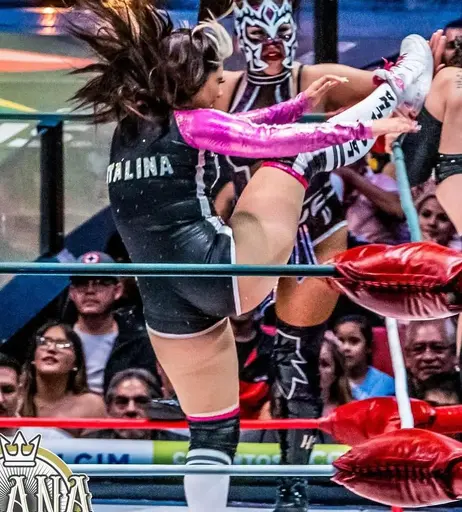 Image 8786964 from Women of Professional Wrestling