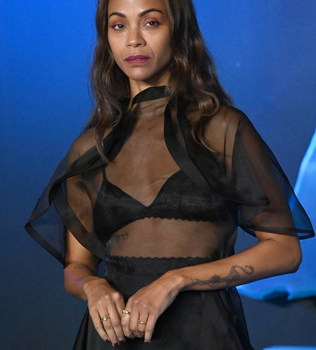 Image 8771600 from Zoe Saldana