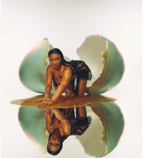 Image 8720273 from Megan thee stallion