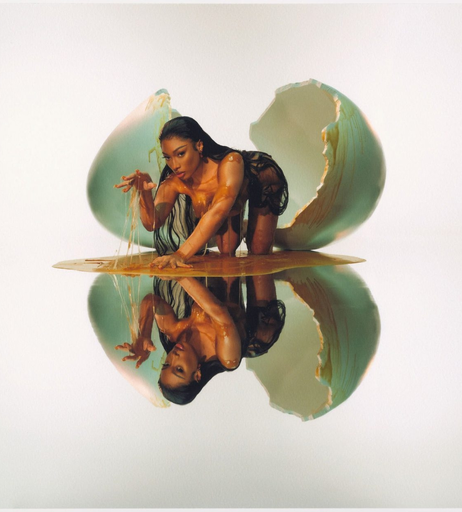 Image 8720265 from Megan thee stallion
