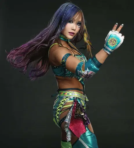 Image 8707060 from Kairi Sane | Kairi Hojo