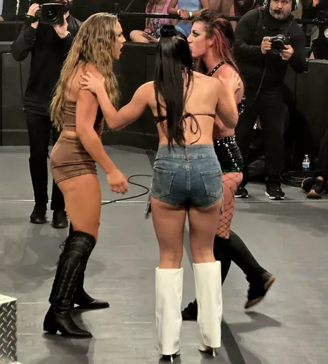 Image 8708378 from Fallon Henley (WWE)