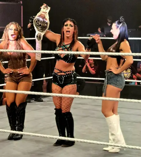 Image 8708377 from Fallon Henley (WWE)