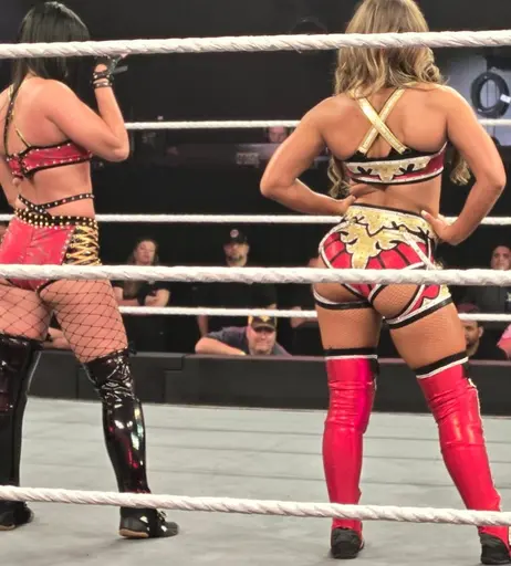 Image 8055422 from Fallon Henley (WWE)