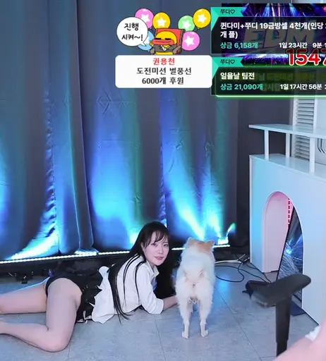 Image 8041786 from Judy | duswn8243 | 쭈디♡
