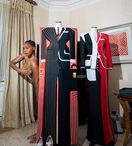 Image 8033790 from Janelle Monae