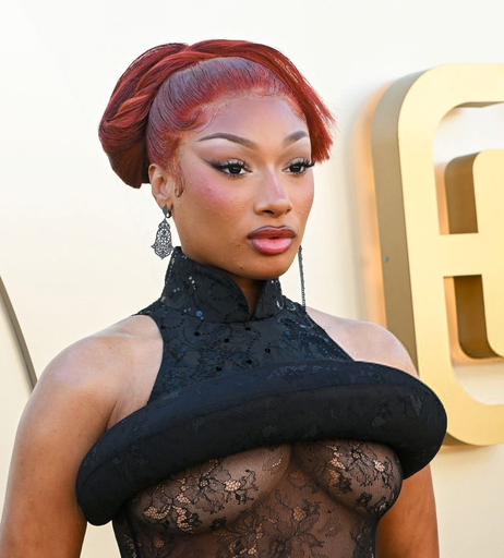 Image 8033758 from Megan thee stallion