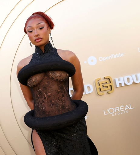 Image 8033746 from Megan thee stallion